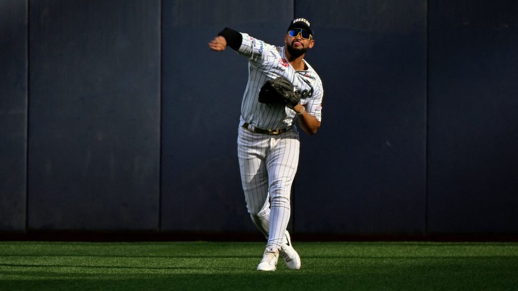 Dónde ver Caribes de Anzoátegui vs. Leones del Caracas