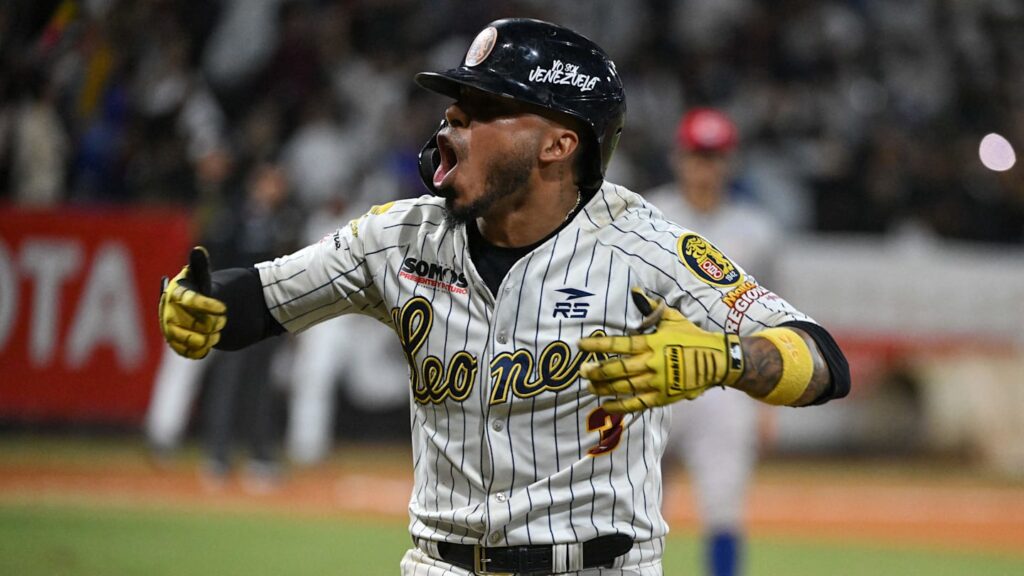 Dónde ver Leones del Caracas vs. Tigres de Aragua en TV y streaming