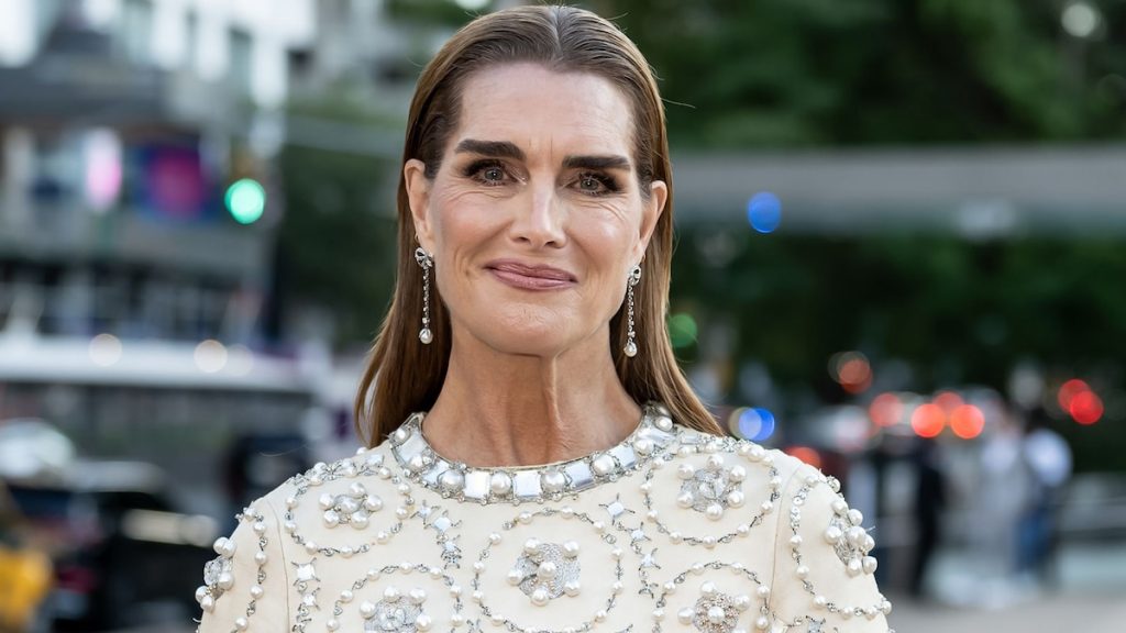 Brooke Shields deslumbra con el vestido que lució su madre para conocer a la Reina