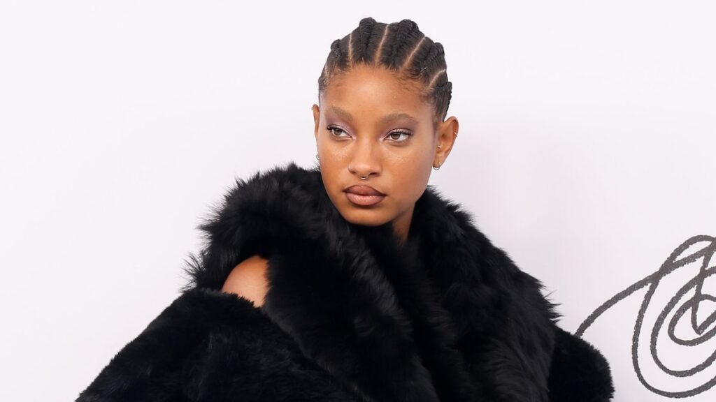 Willow Smith cambió sus exclusivas trenzas y mechones rizados por una elegante y larga cola de caballo.