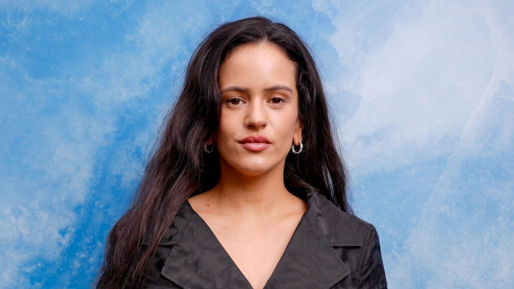 Rosalía se une a los voluntarios en Valencia tras unas inundaciones y una devastación sin precedentes