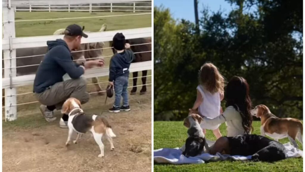 El príncipe Archie y la princesa Lilibet aparecen en el último vídeo de Instagram de la madre Meghan Markle