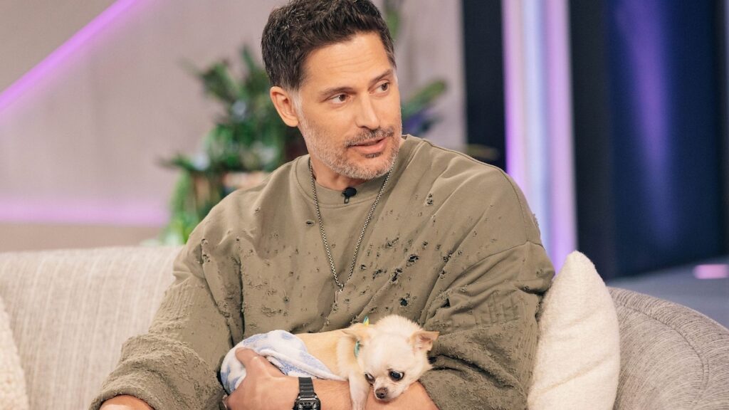 Joe Manganiello habla de Bubbles, su perro con Sofía Vergara: ‘El chihuahua más lindo’