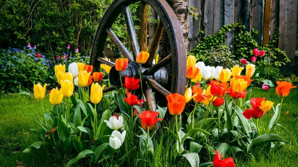 7 plantas para llenar su jardín de color y energía esta primavera 7 plantas para llenar su jardín de color y energía esta primavera