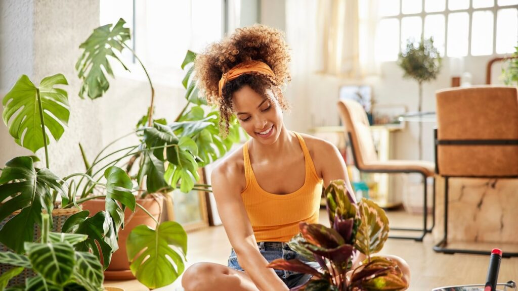 Las 9 plantas principales que se cree que atraen riqueza y prosperidad a su hogar