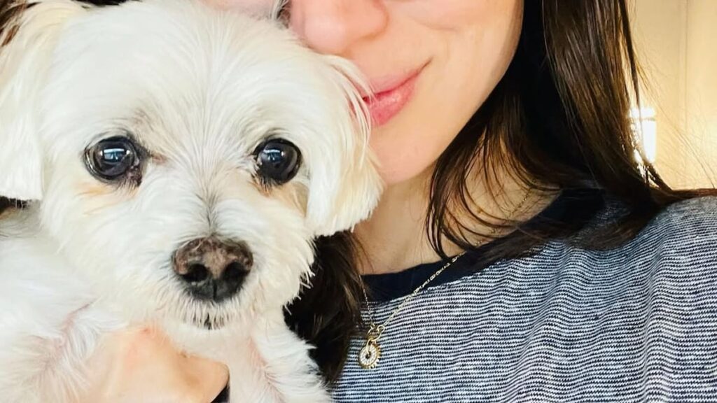(Mascota de la semana) Elvis, Ana de Armas ‘Precious’ Dog, tiene 17 años: ‘mi amigo y compañero’