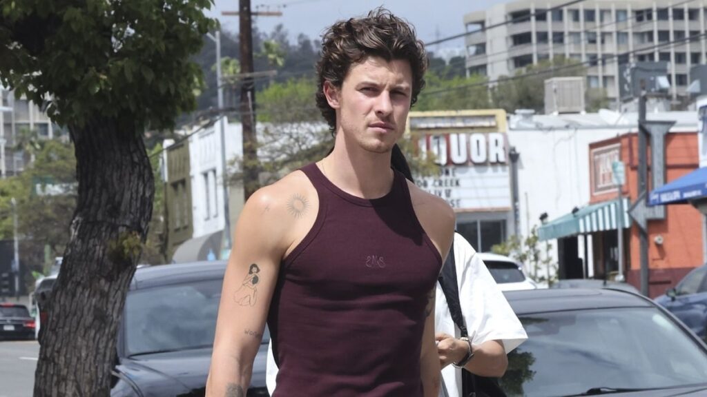 Shawn Mendes disfruta del almuerzo con su amigo, el Dr. Jocelyne Miranda