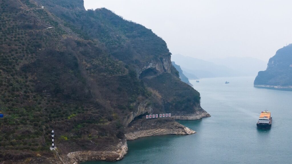 Cómo los turistas cautivados de la ‘montaña de cachorros’ de China de todo el mundo: ‘tan mágico y lindo’