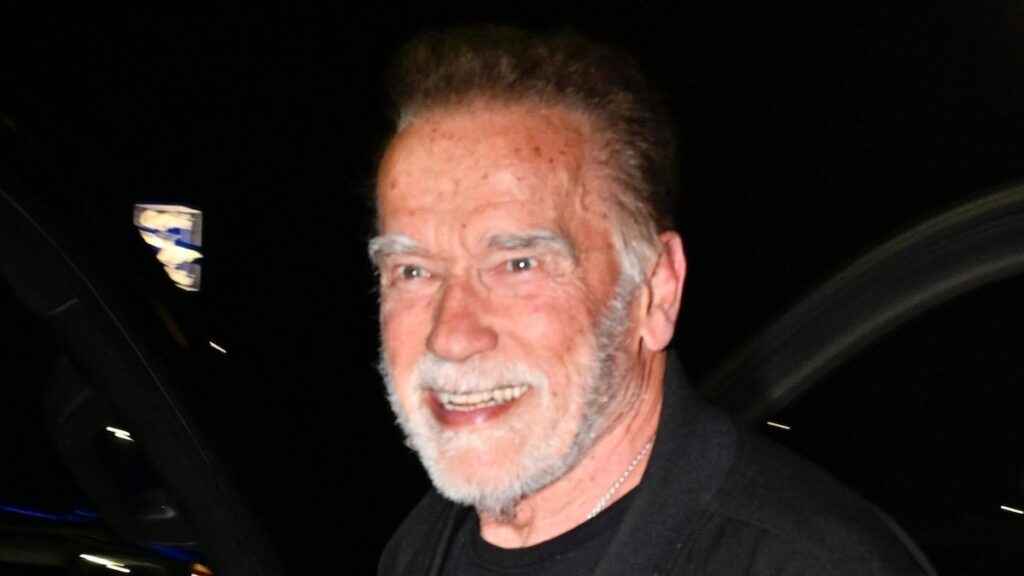 Arnold Schwarzenegger irradia el amor en una cita doble con Heather Milligan