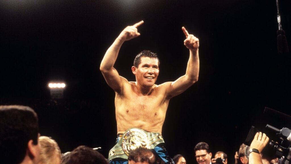 Boxeadores con más Victorias en Peleas de Campeonato Mundial