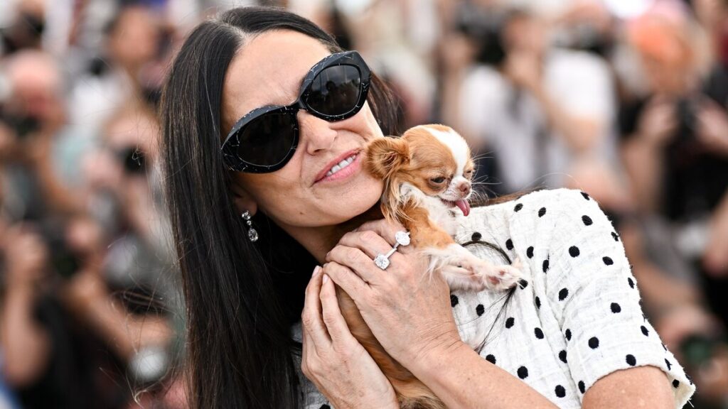 Ver la mini versión del vestido