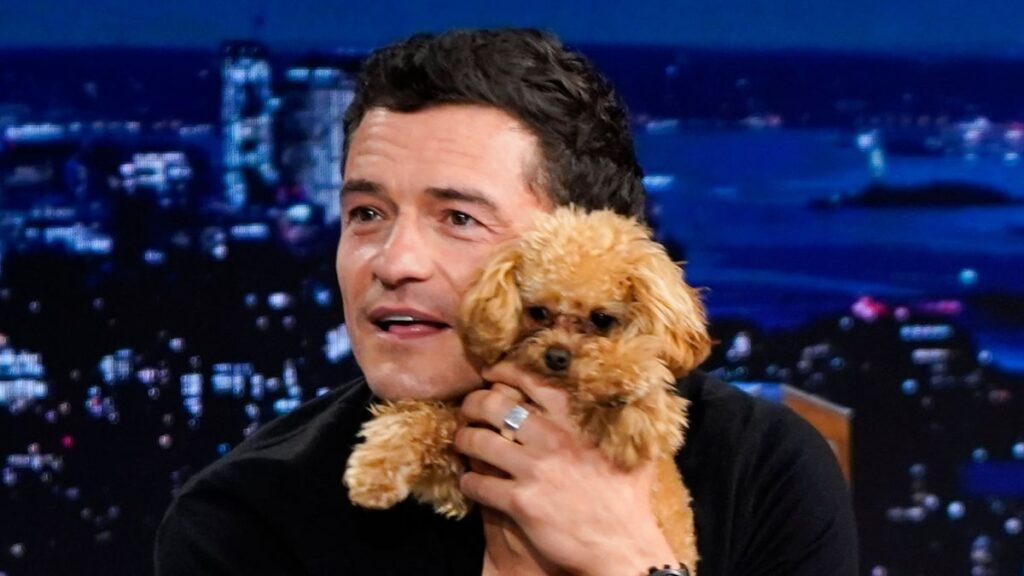 Orlando Bloom y su perro roban el espectáculo mientras Katy y Daisy tocan disfrazados en Sydney