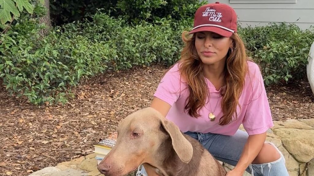 Pose modelo de la cámara de Lucho vs. Magic