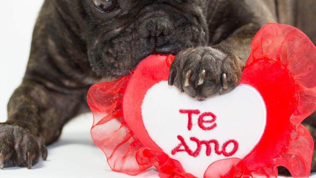 Por qué el español podría ser el idioma más feliz, según la investigación