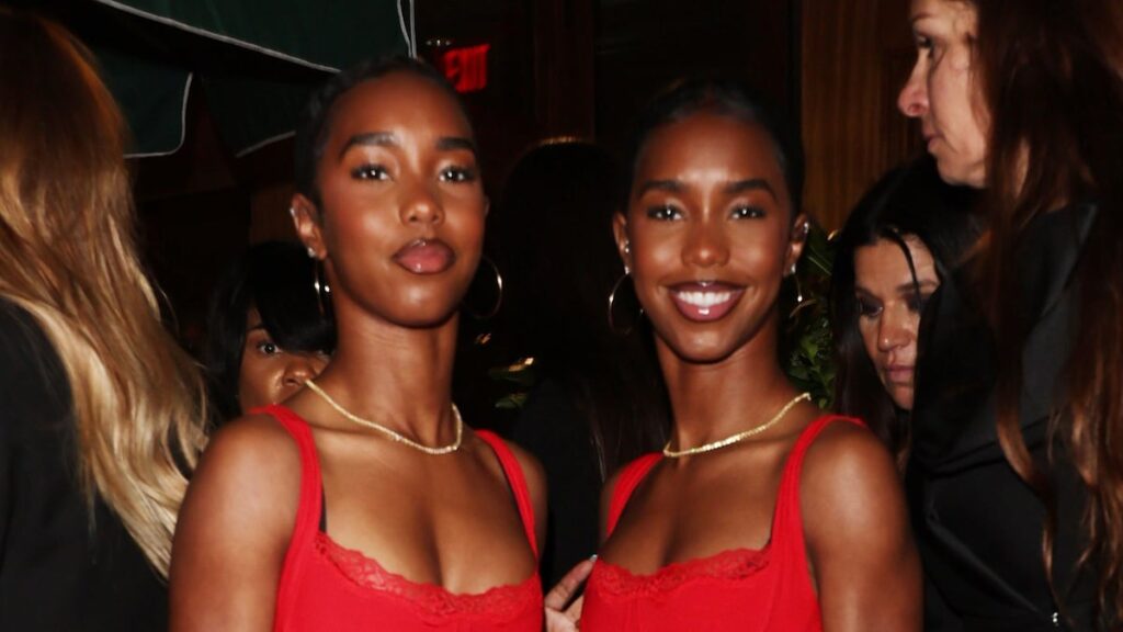 Sean ‘Diddy’ Combs ‘Twin Girls fueron inesperadamente forzadas fuera del paseo en el parque temático