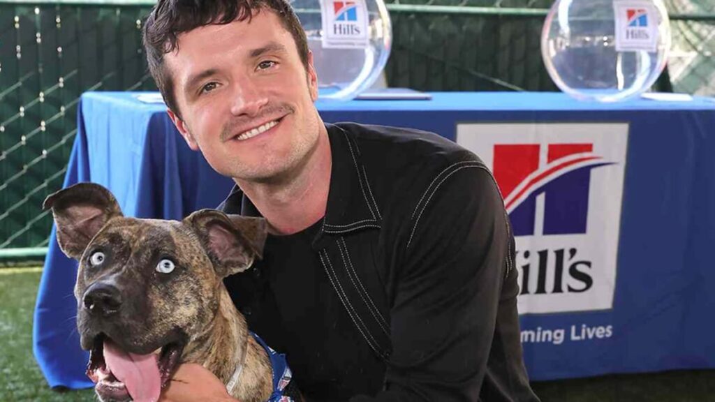 Los perros de rescate de Josh Hutcherson Manchi y el conductor cambiaron su vida, ahora está ayudando a refugiar a las mascotas a tener su segunda oportunidad