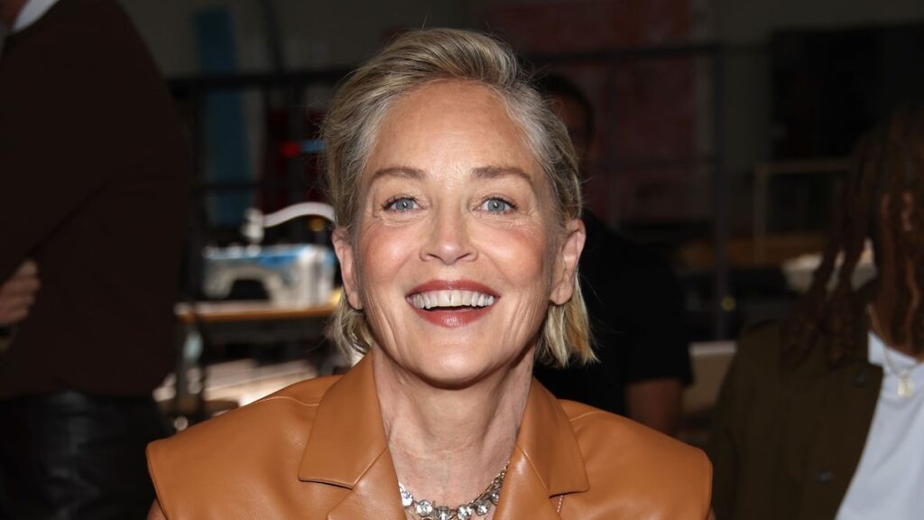 Sharon Stone abre por perder $ 18 millones después de recibir un derrame cerebral
