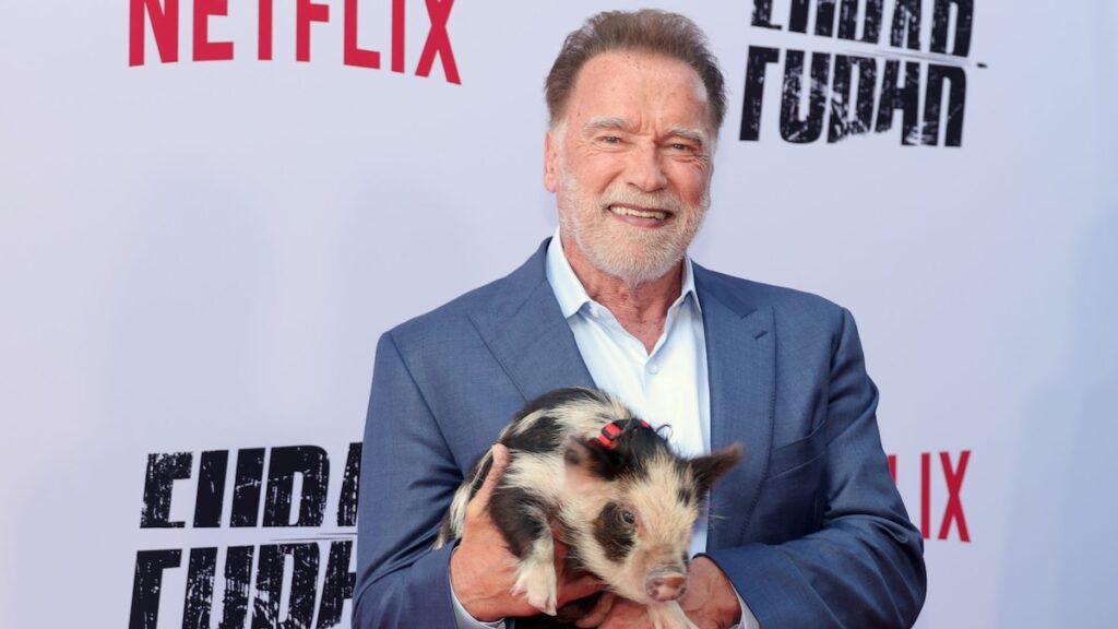 Arnold Schwarzenegger golpeó con un revés de carrera importante solo unos días después de cumplir 78 años