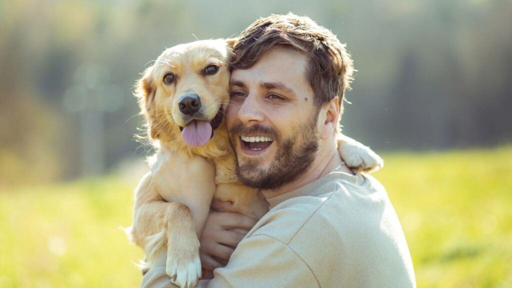 ¿Qué es un novio de Golden Retriever? Por qué todos quieren uno en 2025