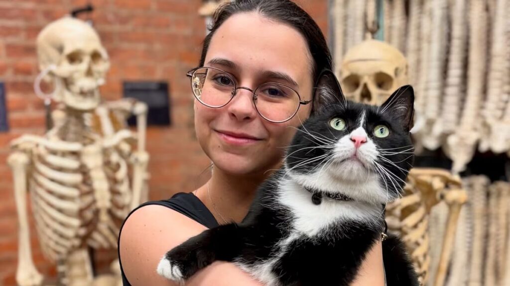 Conoce a Bone Jovi, el gato del refugio que encontró un hogar en un museo