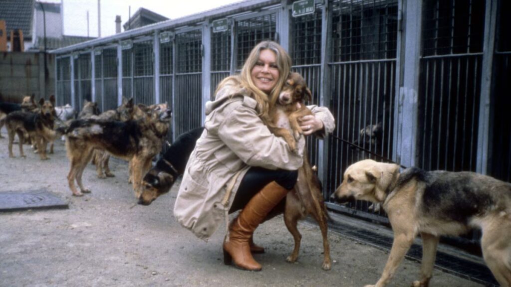 Silencio, naturaleza y un refugio inexpugnable.