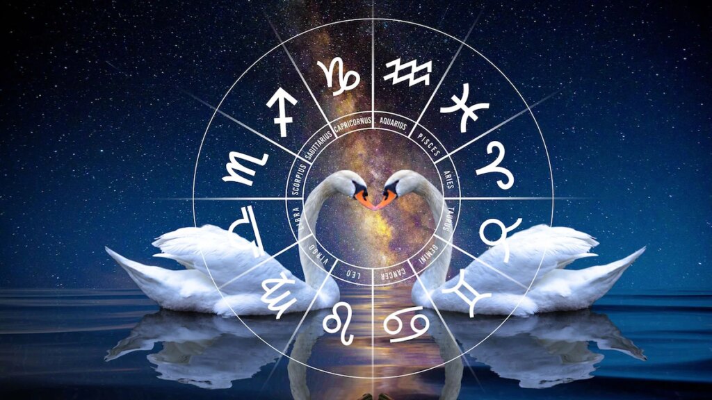 Descubre tu espíritu animal según tu fecha de nacimiento.