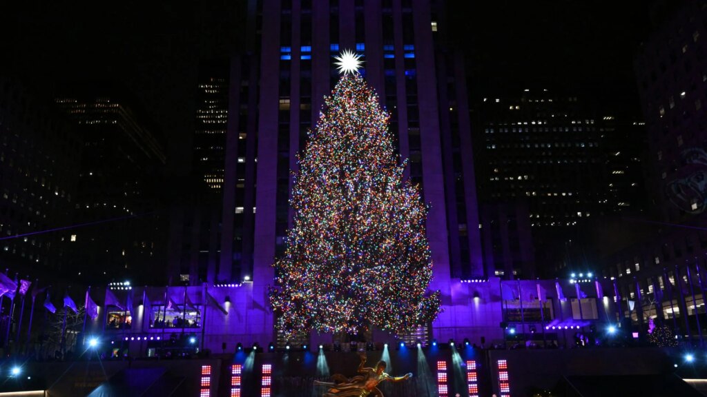 Cuando y donde disfrutar