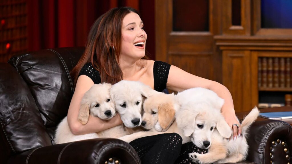 El perro de Millie Bobby Brown tuvo una reacción hilarante ante el nuevo bebé de ella y Jake Bongiovi