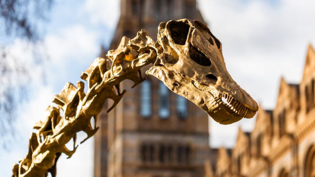 Nueva especie de dinosaurio Doolysaurus huhmini descubierta en Corea después de 15 años: lleva el nombre de una querida caricatura