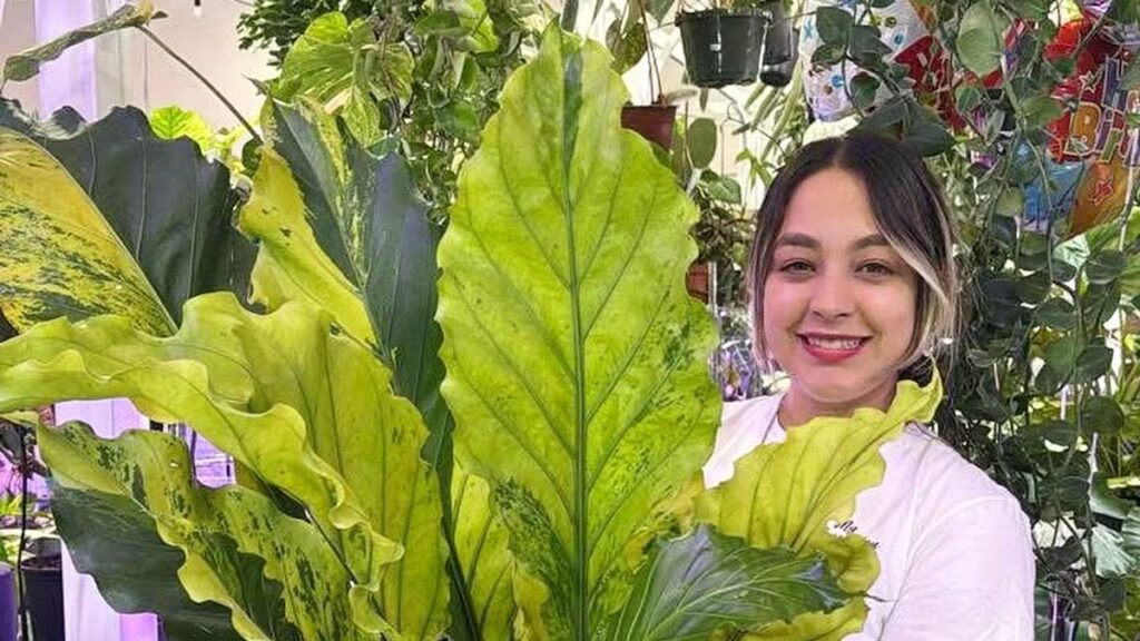 Cómo Joelibeth Portillo construyó el ‘Imperio de las Suculentas’ a través de la venta en vivo