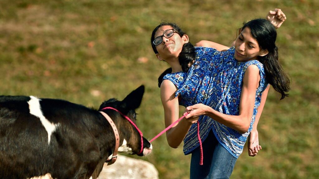 Las gemelas siamesas Carmen y Lupita Andrade ahora: amor, límites y acallando rumores