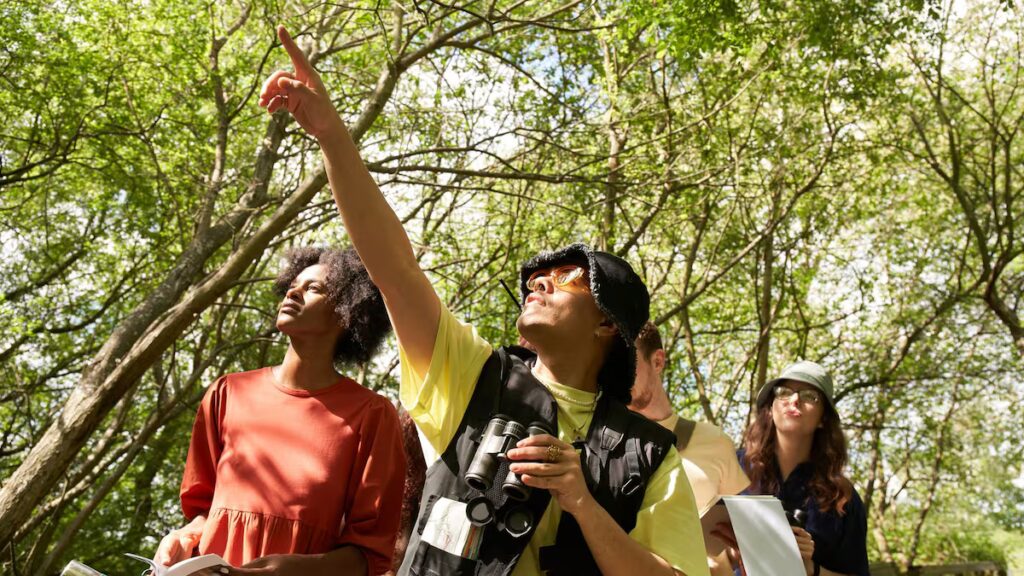 ¿Por qué todo el mundo parece estar observando este pequeño pájaro en Nueva York en este momento?