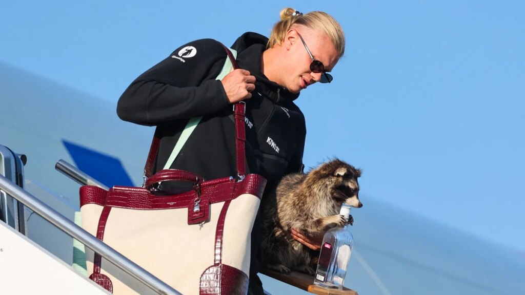 Erling Haaland se vuelve viral tras llevar un mapache disecado por el aeropuerto